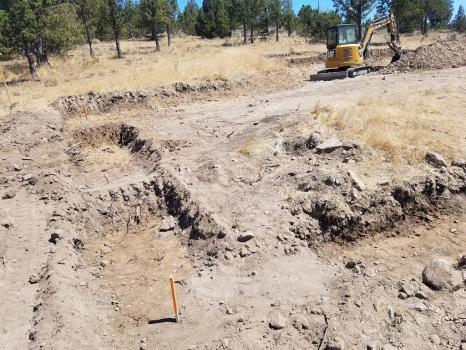 Image for Emperor Excavation with ID of: 6721012