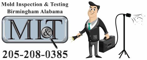 Image for Mold Inspection & Testing Birmingham with ID of: 6262018