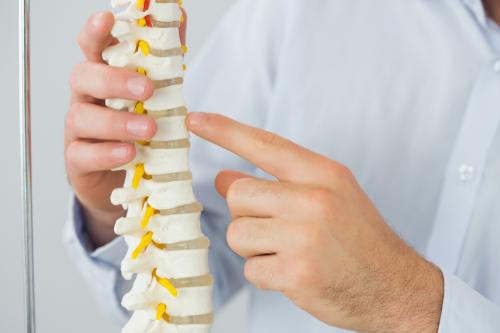 Image for Albany Physiotherapy Clinic with ID of: 6262687