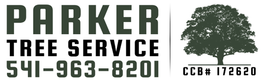 Image for Parker Tree Service with ID of: 6722239