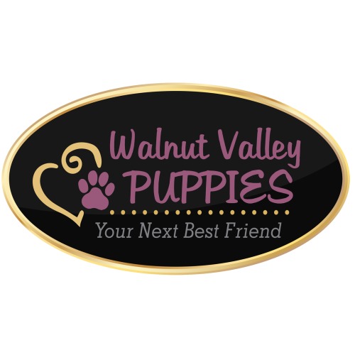 Image for Walnut Valley Puppies with ID of: 6728394