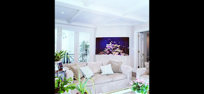 Image for Reef Design Johansen with ID of: 6266918