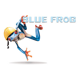 Image for Blue Frog with ID of: 6729773