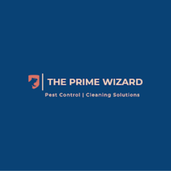Image for THE PRIME WIZARD with ID of: 6729929