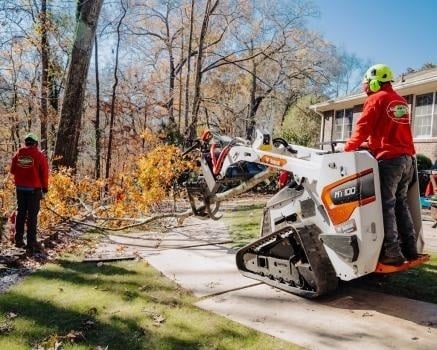 Image for Northside Tree Professionals with ID of: 6271258
