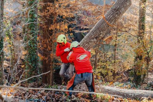 Image for Northside Tree Professionals with ID of: 6271259
