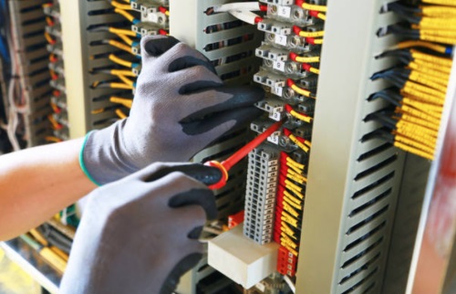 Image for The Electrifying Dutchman with ID of: 6273278