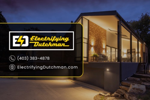 Image for The Electrifying Dutchman with ID of: 6273281