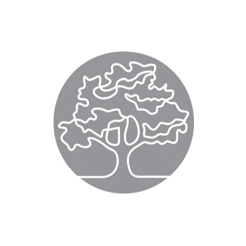 Image for Setai Dental with ID of: 6731150