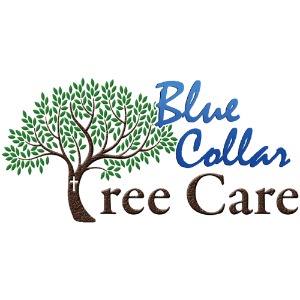 Image for Blue Collar Tree Care with ID of: 6731824