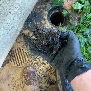 Image for 2Tone Plumbing Services with ID of: 6275294