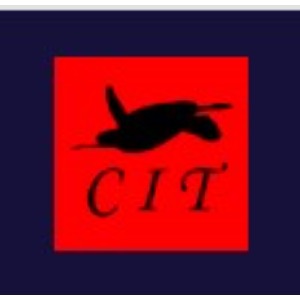 Image for Custom Island Tours, LLC with ID of: 6732970