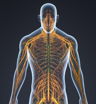 Image for HEALSMART with ID of: 6276559