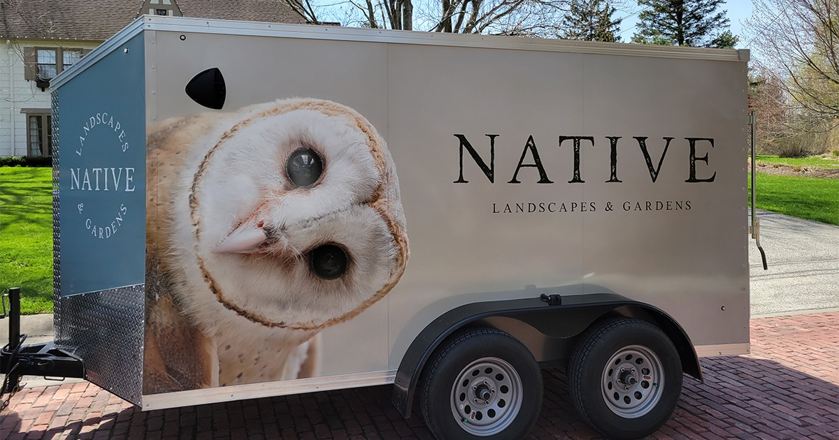 Image for Native Landscapes & Gardens with ID of: 6277115