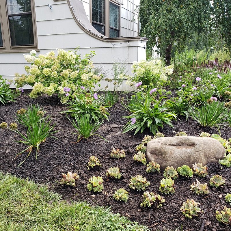 Image for Native Landscapes & Gardens with ID of: 6277116