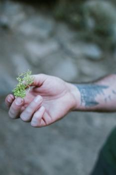 Image for Yosemite Alpine Quest with ID of: 6281011