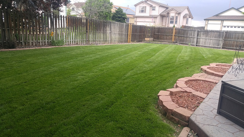 Image for Epic Lawn Pro with ID of: 6282088