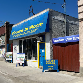 Image for Flowers In Bloom with ID of: 6739992