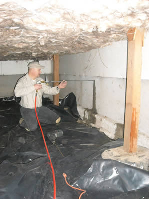 Image for Pete's Pest Control with ID of: 6283263