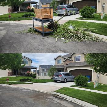 Image for Jack's Junk Removal with ID of: 6284685