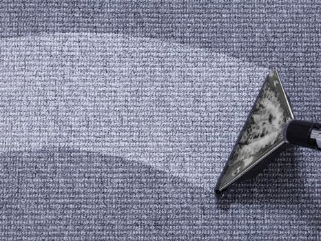 Image for Drymaster Carpet Cleaning with ID of: 6284935