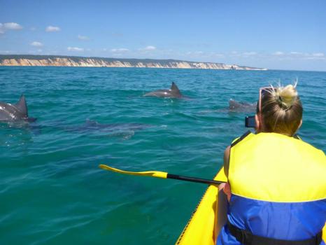 Image for Epic Ocean Adventures Noosa with ID of: 6285945