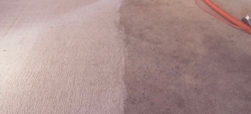 Image for Enviroclean Carpet Care with ID of: 6287788