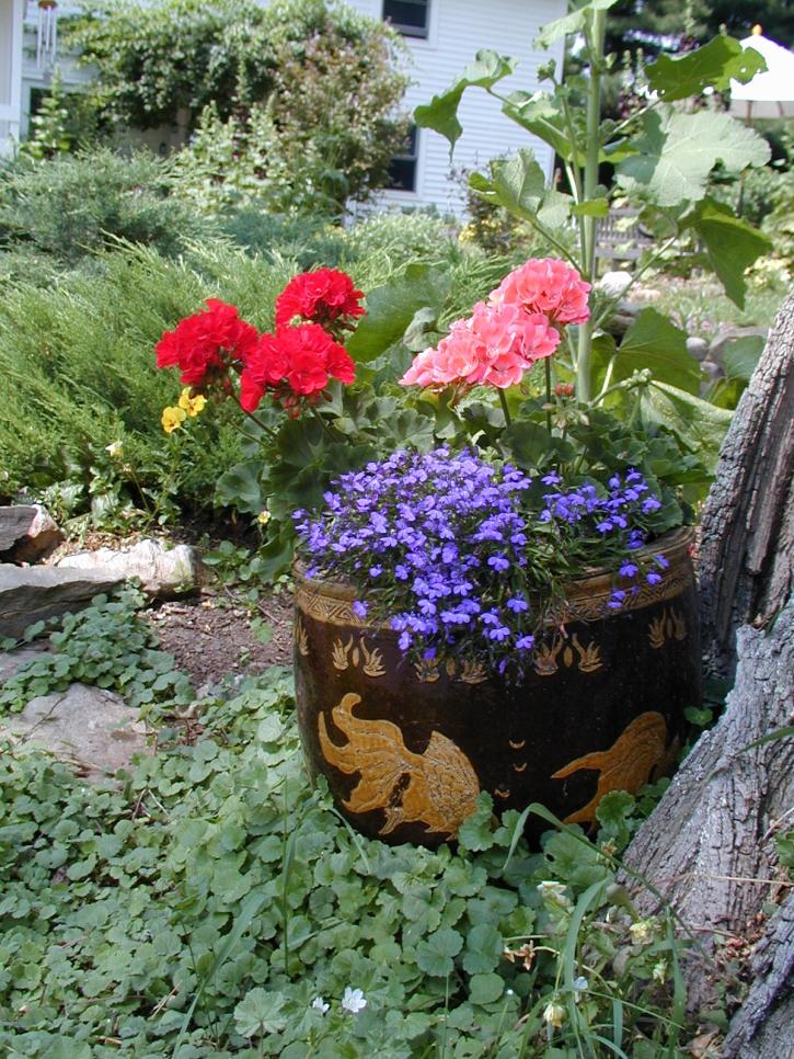Image for Wyndbourne, LLC with ID of: 674