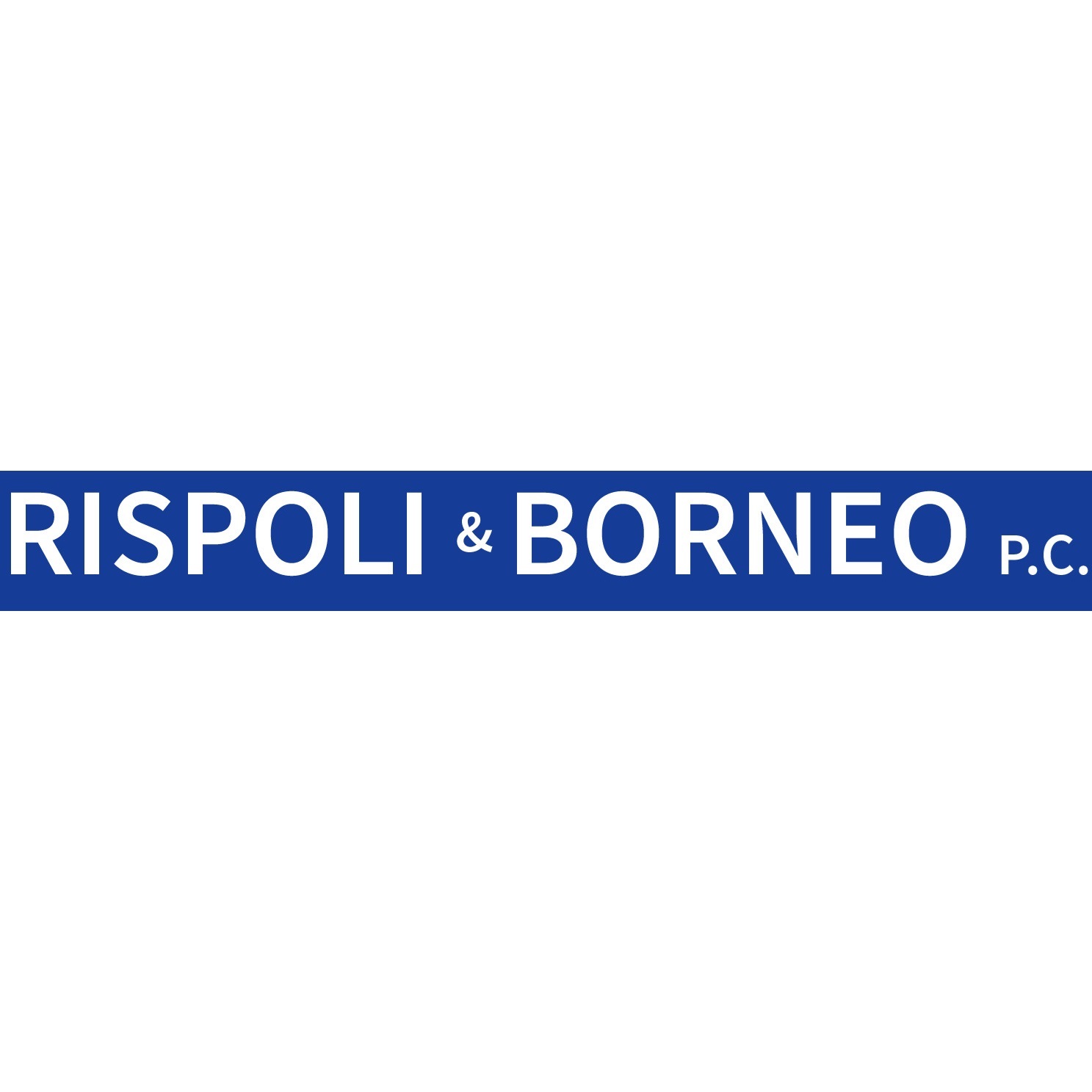 Image for Rispoli & Borneo P.C. with ID of: 6290655