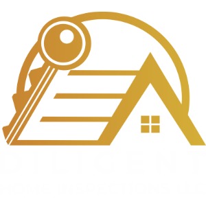 Image for Diligent Home Inspections LLC with ID of: 6743549