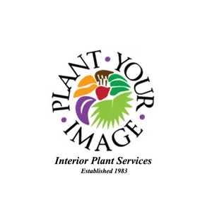 Image for holiday decor installation bay area with ID of: 6743940
