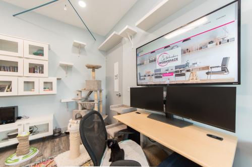 Image for Whiskers Workspace with ID of: 6293219