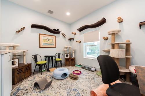 Image for Whiskers Workspace with ID of: 6293220