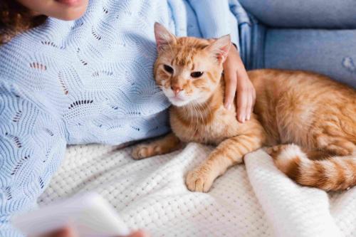 Image for Veterinary Cancer Concierge Services with ID of: 6293459