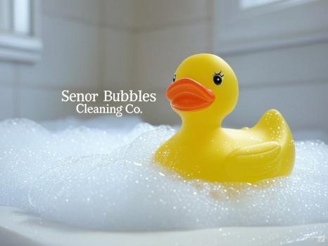 Image for Señor Bubbles Cleaning Co. with ID of: 6746904