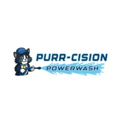 Image for Purr-cision Powerwash with ID of: 6747482