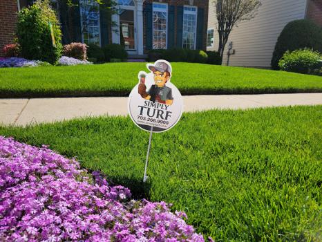 Image for Simply Turf with ID of: 6297193