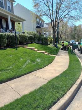 Image for Simply Turf with ID of: 6297194
