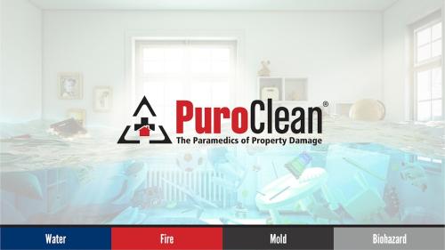 Image for PuroClean of Deerfield Beach with ID of: 6300964