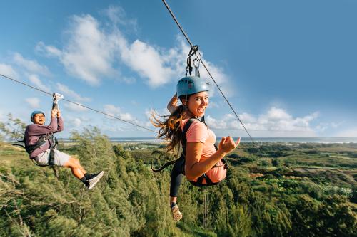 Image for HawaiiTours.com with ID of: 4560893