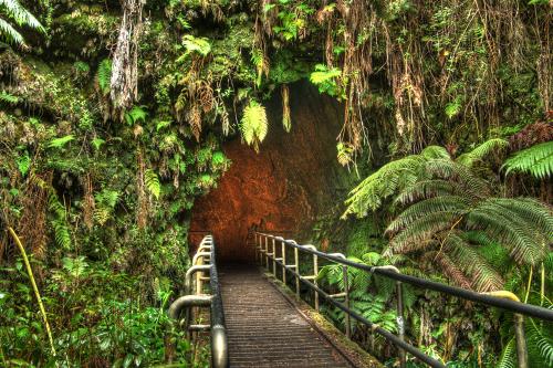 Image for HawaiiTours.com with ID of: 4560894