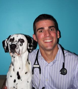 Image for Lifting Stars Veterinary Homecare with ID of: 6301402