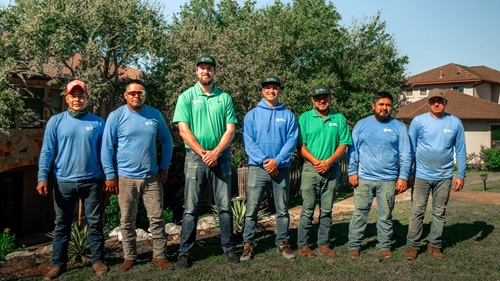 Image for Tree Scouts Tree Service with ID of: 6301578