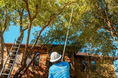 Image for Tree Scouts Tree Service with ID of: 6301580