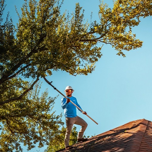Image for Tree Scouts Tree Service with ID of: 6301582