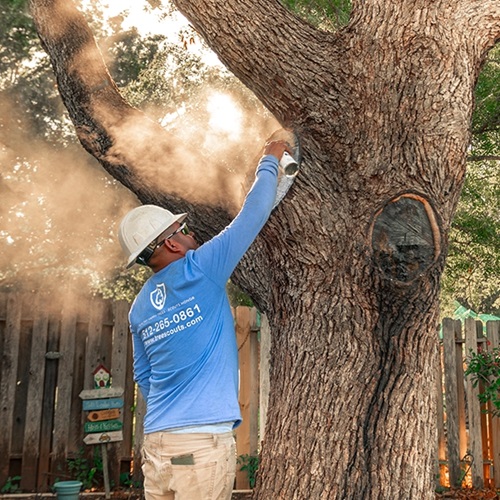 Image for Tree Scouts Tree Service with ID of: 6301584