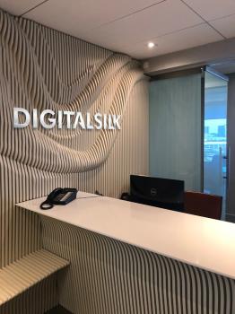 Image for Digital Silk with ID of: 6302973
