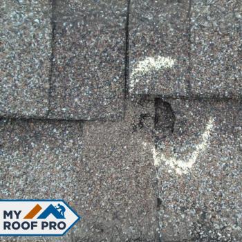 Image for My Roof Pro with ID of: 6306088