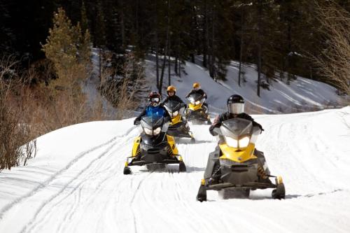 Image for Polar Snowmobile Rentals with ID of: 6307213