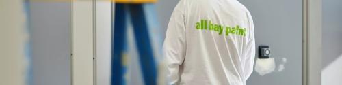 Image for All Bay Paint with ID of: 6307377
